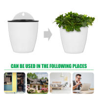7 piezas de planta ETA, METEOS circular con contenedor, riego automático de interior de plástico - details 4
