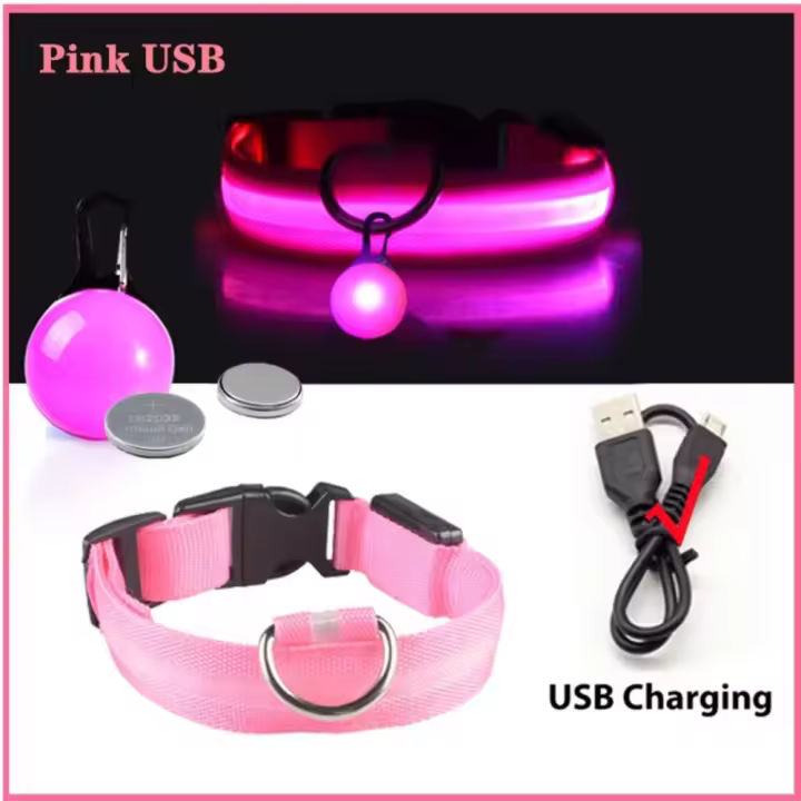 Collar de perro brillante con colgante intermitente, Collar de seguridad luminoso desmontable ajustable, prevención de pérdida USB, Collar LED nocturno - 1