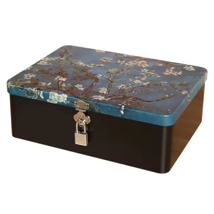 Caja de hojalata de alta calidad multiusos con cerradura, baúl de almacenamiento, caja de Metal dura para almacenamiento de joyas de gran capacidad para el hogar - 1