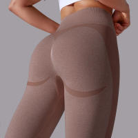 Pantalones Deportivos Sin Costuras para Mujeres Cintura Alta Yoga, Levantamiento de Glúteos, Carreras Ropa de Gimnasio - details 31