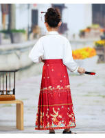 Falda con cara de caballo para niña, conjunto Hanfu, nuevo estilo Ming Tang de primavera para niños grandes, disfraz antiguo de estilo chino - details 11