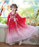 Hanfu primavera y otoño vestido elegante antiguo súper inmortal para niñas pequeñas falda de bata de estilo chino Tang para niños - details 8