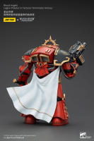 JOYTOY 40k 1/18 figuras de acción Anime 14,2 cm Blood Angels Legion Praetor en Tartaros Terminator Armor - details 2