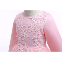 Vestido de noche para niñas con falda abullonada de malla con bordado de estilo nuevo para niños - details 23