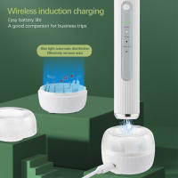 Limpiador de dientes ultrasónico con cámara, raspador Dental eléctrico Visual, eliminador de cálculo, irrigador, blanqueador de dientes, eliminador de sarro - details 6