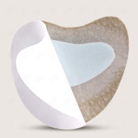 Almohadillas de cuero para el antepié para mujer, almohadillas antideslizantes para el cuidado de los pies, pegatinas para aliviar el dolor, 2 piezas - details 6