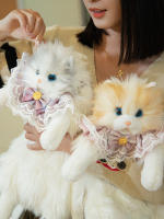 Muñeca muñeca de tela de felpa juguete cumpleañera explosión de la misma mochila de gato ragdoll simulada bolsa de gato gordito - details 26