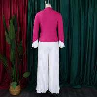Conjunto de dos piezas de pantalón de pierna ancha plisado y top de manga acampanada de nueva moda de primavera para mujer D553 - details 5
