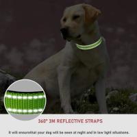 Collares para perros pequeños, collares para cachorros para perros, collares decorativos grandes para perros - details 2