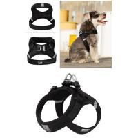 Correa para Mascotas Truelove Nylon Transpirable para Perros Pequeños y Medianos - details 13