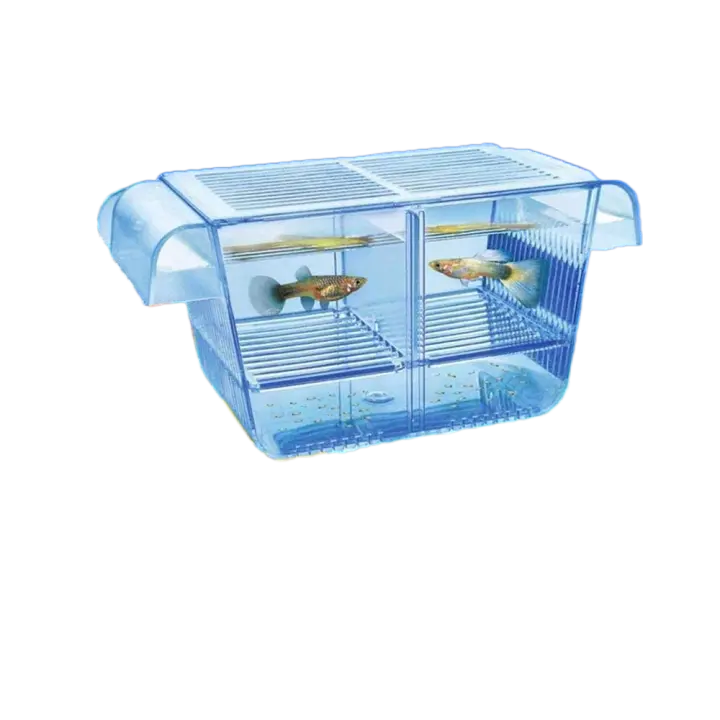 Guppy-incubadora de camarones con aislamiento transparente, incubadora de peces para bebés, caja de cría de peces, caja de aislamiento de peces - 1