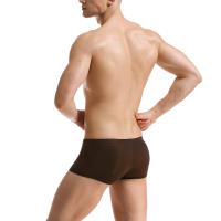 Ropa interior sexy para hombre Mini bóxer de seda de hielo Bragas ultrafinas transparentes Transparente Calzoncillos Homme Cuecas - details 8