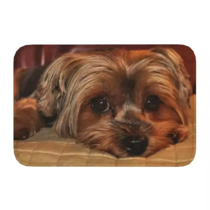 Alfombra de Puerta de Yorkshire Terrier Flánnel Antideslizante para Cocina, Baño, Jardín, Dormitorio Entrada 40*60cm - 1