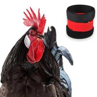 Collar de gallo antigancho, sin nudo de gancho, correa para el cuello, 1 ud. - details 0