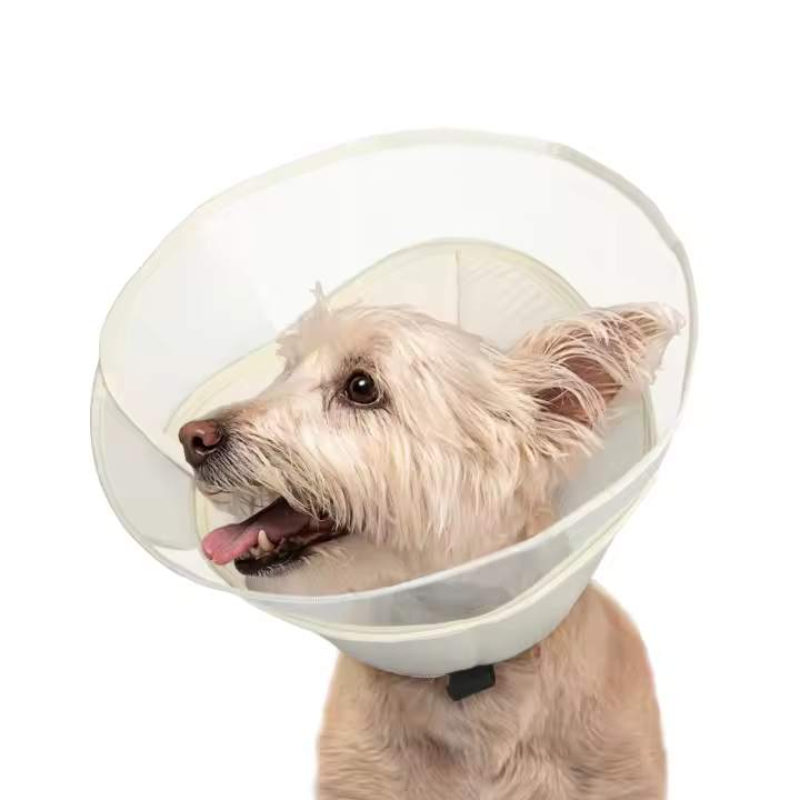 Cono para Perros Suave Collar Protector Adjustable para Perros Grandes Prevención de Mordiscos - 1
