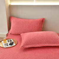 Bonenjoy-funda de almohada de terciopelo cálido, Fundas de cojín de Color sólido, 2 piezas, rectangular, 48x74cm - details 3