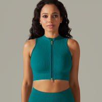 Hamidou-Sujetador deportivo con cremallera para mujer, Top de Yoga, chaleco de sudor, chaqueta de entrenamiento para correr, chaquetas sin mangas para correr, Tops cortos elásticos ajustados - details 21