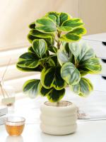 Pequeña Planta Hoya Artificial en Forma de Corazón Falsas Piñas Jugosas - details 2