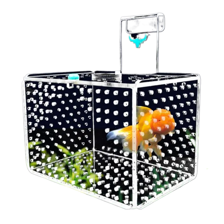 Caja de aislamiento acrílica para pecera, caja de incubación de acuario de montaje en pared de calibre de 3mm con cubierta, caja de cría de peces dorados Betta - 1