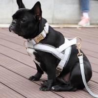 Collar de cuero para perros, juego de correas, chaleco de malla para mascotas, identificación personalizada, cables para perros pequeños, medianos y grandes - details 16