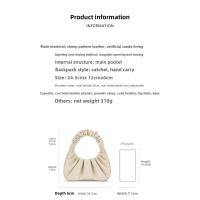 JW PEI cloud GABBL bolso de mano de alta gama con el mismo diseño de nicho bolso de mujer plisado Mochila de lujo de alta gama - details 0