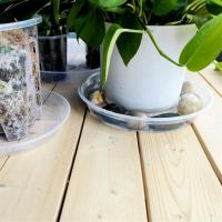 Platillo de plástico transparente para plantas, bandeja para plantas, maceta duradera y gruesa para jardín interior y exterior, 12 pulgadas, 4 paquetes - details 3
