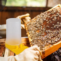 Alimentador de agua para abejas, dispensador, bebedero, equipo de apicultura para exterior, colmena, apicultura - details 1