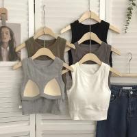 1/2 Unidades. Sujetador deportivo en la espalda para mujer, chaleco sin mangas, parte superior de tubo delgada, ropa interior con almohadillas para sujetador, camiseta interior, Top corto elástico coreano - details 13
