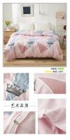 Juego de Ropa de Cama de Lujo con Funda de Edredón de Dibujos Animados Lindos para el Hogar Doble Set de Tela para Cama - details 22