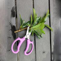 Tijeras de podar para jardinería ambidiestras de estilo clásico, hoja de acero inoxidable, tijeras de jardín multifunción de operación Manual, 1 ud. - details 2