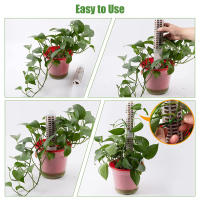 Columna de escalada de plantas, poste de musgo Sphagnum, soporte de cultivo de plantas, soporte de retención de agua, palo de extensión de plantas rico en fertilizante - details 8