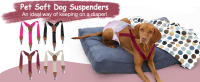 Pet Soft Dog Suspenders