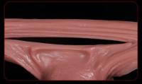 Funda realista de silicona de 6 tamaños Leten para agrandar el pene, condones grandes, juguetes sexuales para hombres, productos para extender el pene. - details 11
