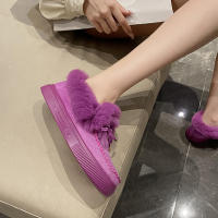 Botas de nieve de terciopelo para mujer, botines cálidos de felpa con cordones, zapatillas suaves, zapatos cómodos de algodón, invierno, 2023 - details 2