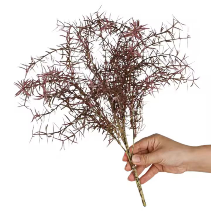 Ramas de espárragos artificiales de tacto Real, plantas de helechos artificiales realistas hechas a mano, plantas falsas elegantes, decoración para sala de estar - 1