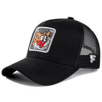 Gorra de Béisbol de Algodón Estilo Anime Gorra de Papá Hip Hop para Hombres y Mujeres - details 6
