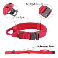 Perro táctico militar duradero, conjunto correa elástica, Collar entrenamiento caminar de nailon para mascotas, Perros medianos - details 10