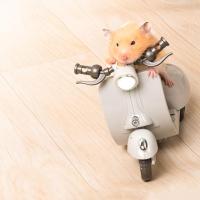 Mini Scooter Eléctrico de iluminación para acrobacias, motocicleta, suministros para mascotas, juguete para hámster - details 3