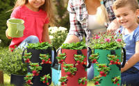 Macetero de tomate al revés, macetero colgante de fresa de 3 galones, bolsas de cultivo de tela de aireación duraderas para verduras (juego de 3, rojo, verde y negro) - details 2