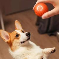 Juguete de Bola Móvil para Perros Interactivo Cachorro Inteligente USB - details 1
