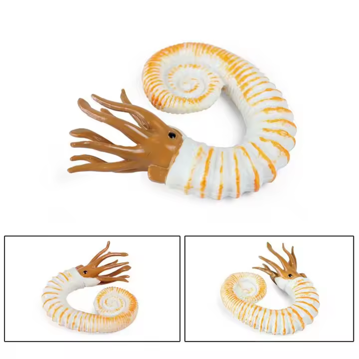 Figura de Animal del océano prehistórico, figuras de vida marina de simulación de Nautilus, colección de figuras de Trilobite de Anomalocaris antiguo - 1