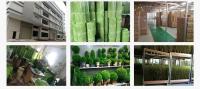 Decoración del hogar de hierba pequeña simulada para decorar pastizales, cañas, cebollas y plantas verdes falsas. - details 8