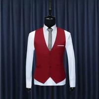 2025 Primavera y novedad de verano, moda británica, traje para hombre, chaleco ajustado, chaleco para hombre, traje de estilo coreano, Clip de caballo - details 0