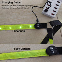 Brilla en la Oscuridad Vestidor de Seguridad para Caballos Telérico Recargable Luz para Paseos Nocturnos Correas Ajustables Material de Poliéster - details 3