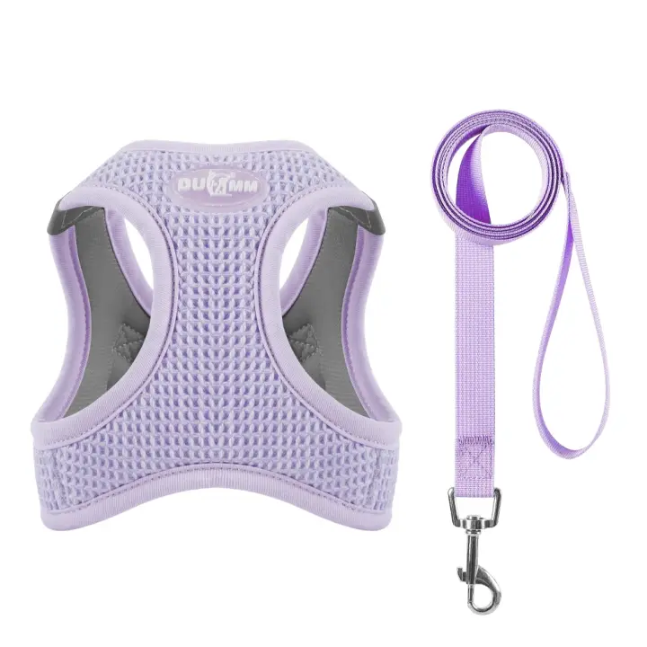 Arnés con correa para cachorros y gatos, chaleco transpirable tipo gofre para mascotas, ropa para perros pequeños y medianos, arnés para gatos, Collar, accesorios para perros Yorkshire - 1
