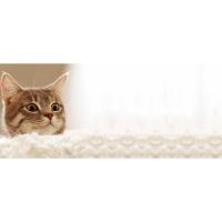 Caja de Arena para Gatos con Tapa Perforada Adyacente Sanitario, Sin Olores, Limpieza Fácil, Incluye Escoop de Basura - details 0