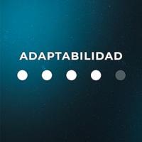 colchón cama firmeza altura capas composición protección espuma nucleo muelles descanso colchones