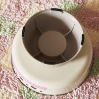 Cuenco de base alta para mascotas de dibujos animados, antideslizante, antivómitos, comida para gatos, cuenco de agua con soporte, cuenco de acero inoxidable antivuelco para gatos - details 11