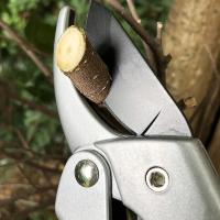 Tijeras de Podar de Acero Inoxidable Tijeras de Jardín Clásicas Ambidiestras Marca DZT - details 2