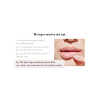 LIP BALM